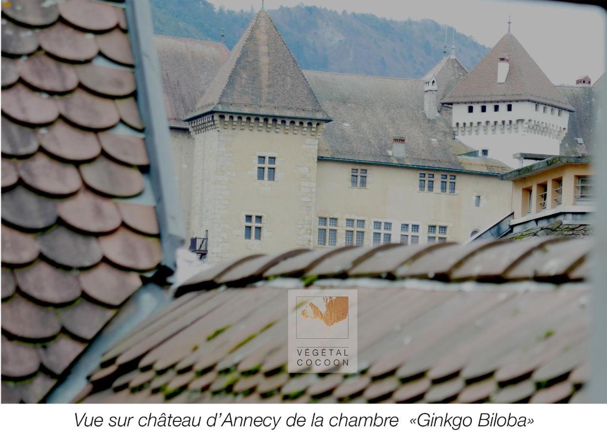 Vegetal Cocoon Apartamento Annecy Exterior foto